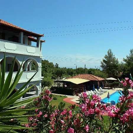 Zante Yliessa